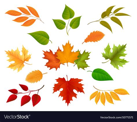 Autumn Leaves Icons Royalty Free Vector Image Vectorstock