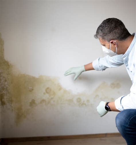 Mold Damage Insurance Claims In Philadelphia Pa Premier Public Adjusters