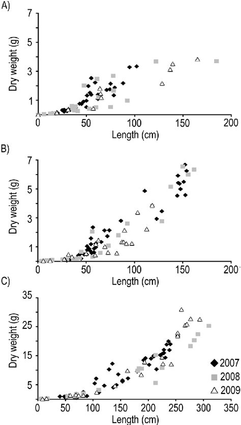 Allometric Relationships Between Length And Dry Weight Of Shoots Of A