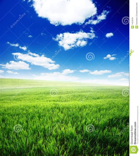 Campo De La Hierba Verde Y Del Cielo Nublado Azul Imagen De Archivo