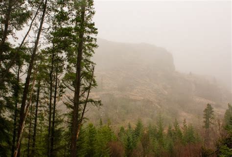 Gougane Barra Forest Park: Hiking Ireland