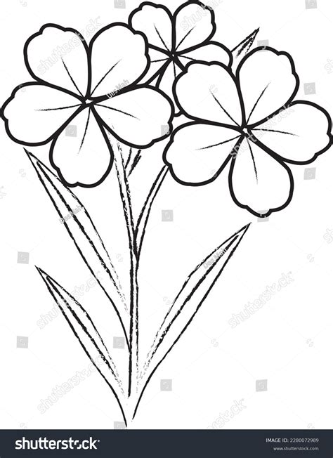 Lovely Vector Illustration Flowersblack Outline Drawing Stock Vector ...