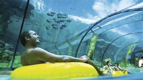 Descuentos Siam Park Residente No Residente Oferta X Loro