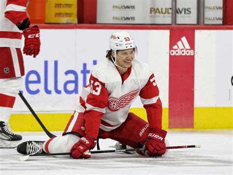 Detroit Red Wings Youth Are Challenged By Free Agent Additions