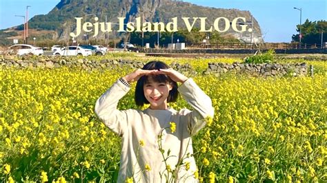 제주도 성산 유채꽃밭🌼 12월 성산 사진 찍기 좋은 곳 성산일출봉 뷰 카페 광치기해변 Youtube