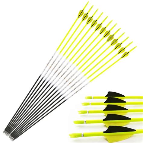 12pcs Inals Archery Spine 500 600 700 800 900 1000 Pure Carbon Arrows