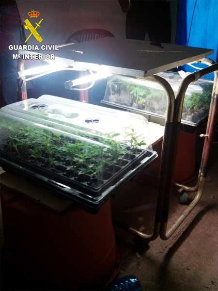 La Guardia Civil Desmantela Un Laboratorio Clandestino De Cultivo