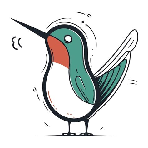 Illustration Vectorielle D Oiseau Colibri Dessin E La Main Vecteur