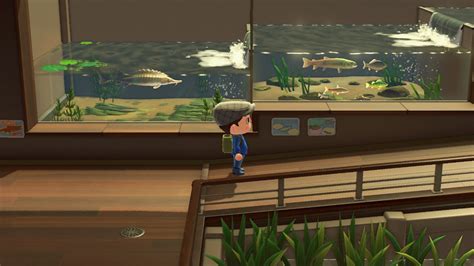 Build A Museum With Animal Crossing New Horizons