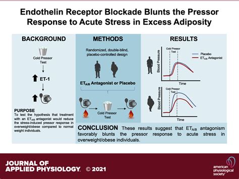 Endothelin Receptor Blockade Blunts The Pressor Response To Acute Stress In Men And Women With