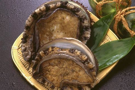 Abalone Umaimono Aomori