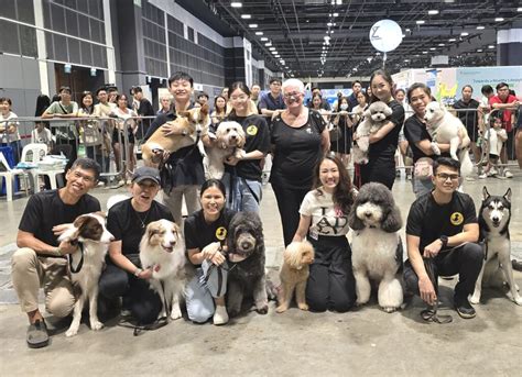 5 Dog Insurance Companies in SG To Secure Your Pet's Health - Waggie