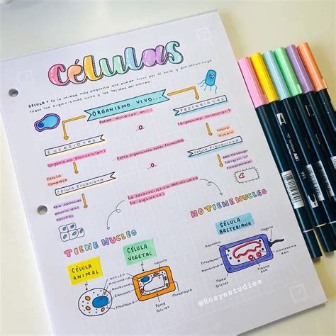 Mapas Mentales Bonitos Aprovecha Los Beneficios De La Visualización Creativa Ariplasoan