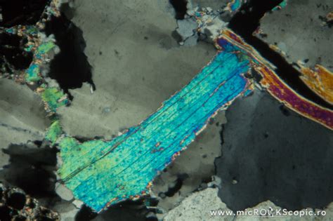 Muscovite Thin Section Phyllosilicates MicROCKScopic