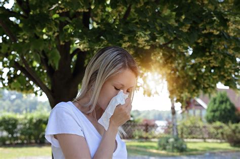 Hayfever And Allergic Rhinitis — Ent Surgeon East Sydney Edgecliff Dr