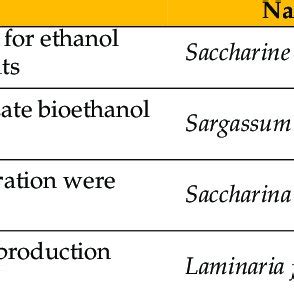 Schematic representation of ethanol production methods. | Download ...