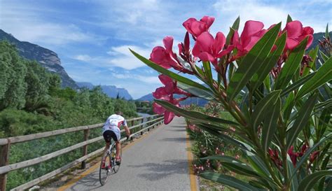 Piste Ciclabili In Trentino Trentino Provincia Di Trento