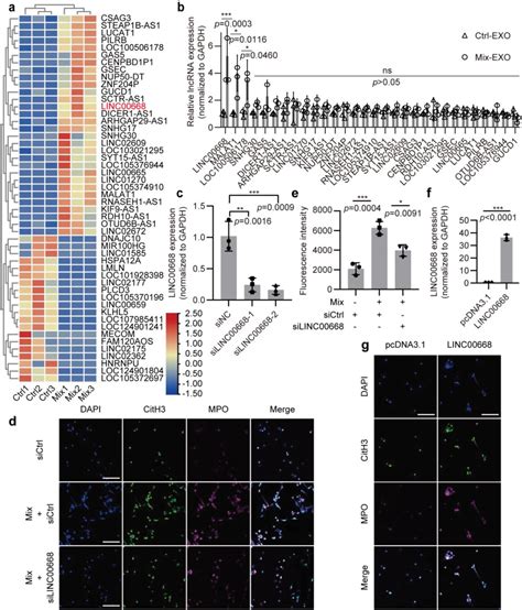 Exosomestransferred Linc Contributes To Thrombosis By Promoting