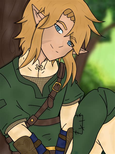 Twilight Princess Link Fanart By Xxleafaxx On Deviantart