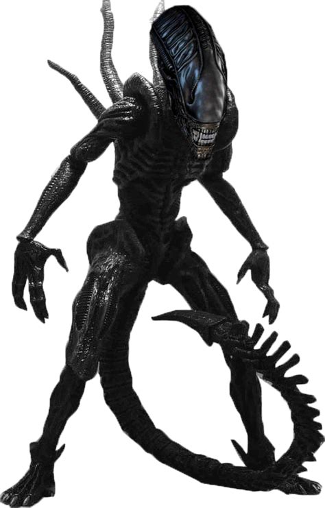 Xenomorph Drone | The Parody Wiki | Fandom