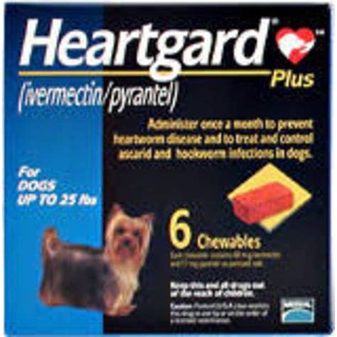 Heartgard Plus - Dog Reviews 2022