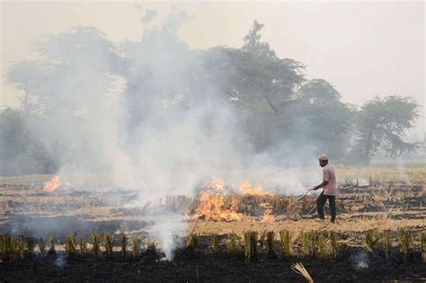 Contrary To Aap S Claims Stubble Burning Reduced In Haryana Too Punjab Reported Highest Single