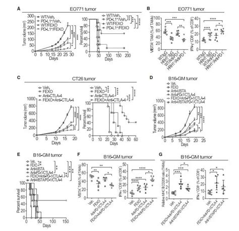 Cancer Cell 组胺激活巨噬细胞组胺受体使癌症患者抵抗免疫治疗（2） 知乎