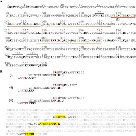 Mapping Of Gp120 Heparin Binding Domain A Amino Acid Sequence Of