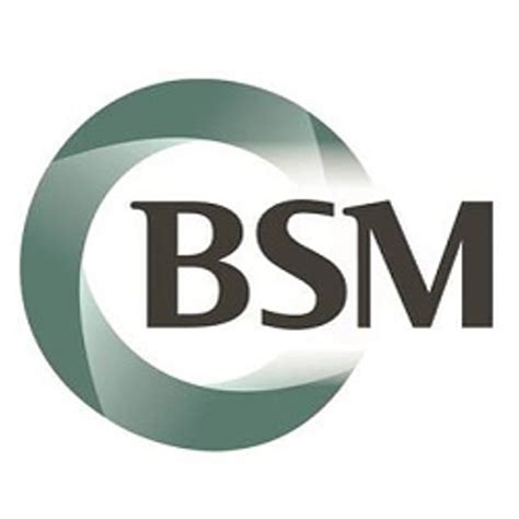 Bsm Consulting