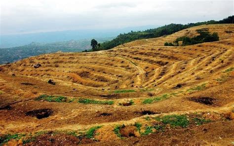 Lahan Potensial Dan Lahan Kritis Silabus