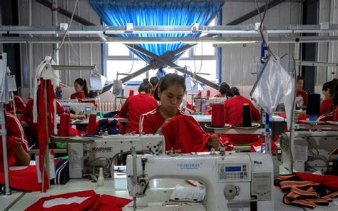 Nike And Coca Cola Lobby Against Xinjiang Forced Labour Bill