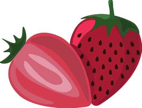 Strawberry Illustration Vector On White Background 13727396 Vector