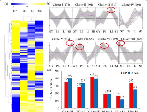 Analysis Of Differentially Expressed Proteins Deps Among The Four Download Scientific Diagram