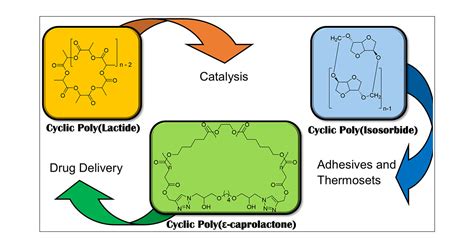 Synthesis Properties And Applications Of Bio Based Cyclic Aliphatic