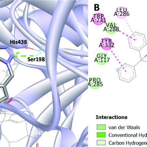 Proposed Binding Mode Of Compound 8b 4 In The Active Site Of BuChE PDB