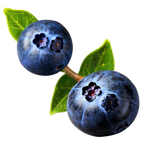 Download Blueberries In Nature Png Nhy