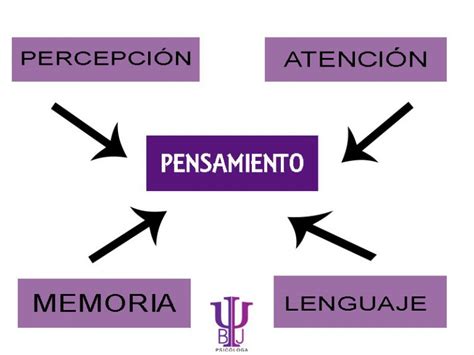 Qué es el pensamiento Qué es la psicología del pensamiento