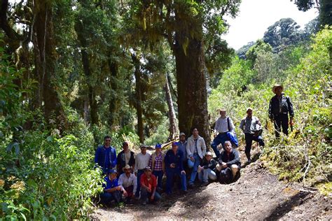 Fortaleciendo El Manejo Sostenible De Los Bosques En Huehuetenango Flickr