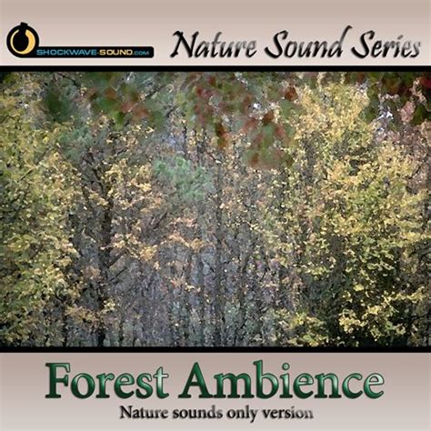 Relaxing Forest Ambience - nature sounds only version - Royalty Free Music collection ...