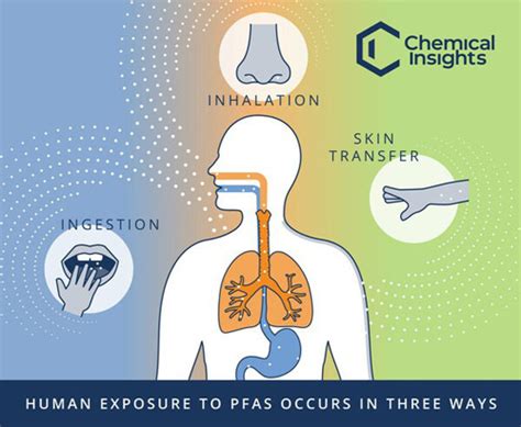 New Project To Study Human Health Impact Of PFAS Chemical Exposure