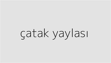 çatak yaylası holitera blog