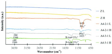 Fourier Transform Infrared Spectroscopy Ftir Functional Groups Of Download Scientific