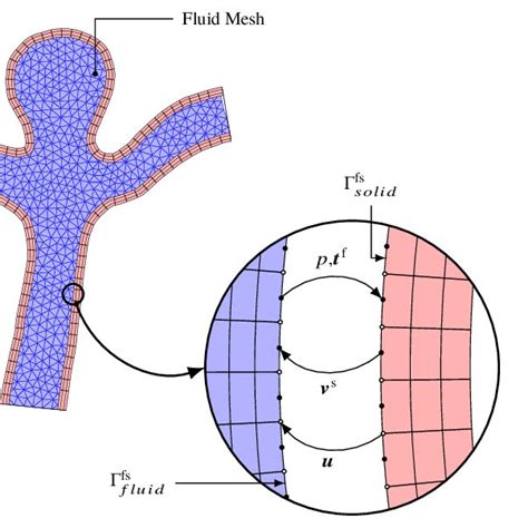 Schematic Two Dimensional Representation Of The Fluid And Solid Meshes