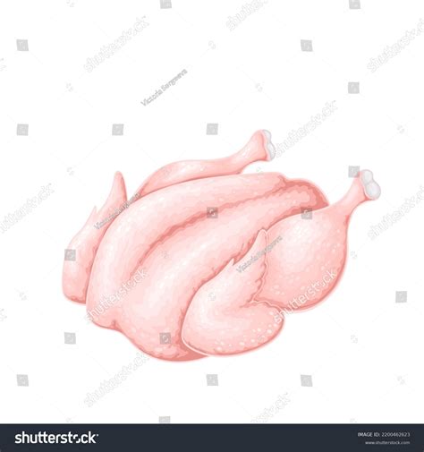 Whole Raw Chicken Vector Illustration Cartoon Stock Vector (Royalty Free) 2200462623 | Shutterstock