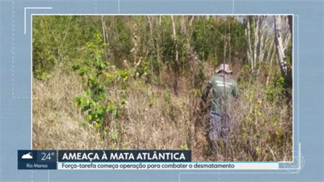 Força tarefa começa operação para combater o desmatamento da Mata