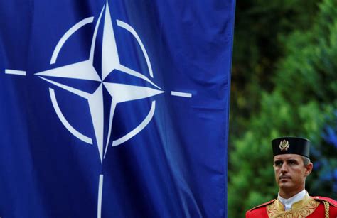 All NATO Allies Are Now Trying To Meet Trump’s Demands, NATO Chief Says ...