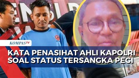 Penghapusan DPO Pembunuhan Vina Dinilai Janggal Penasihat Ahli Kapolri