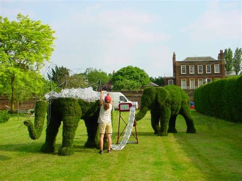 Topiary Art Designs | Custom and bespoke feature topiaries