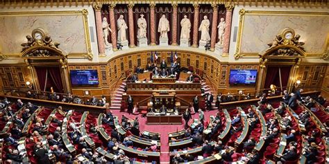 Inscription de l IVG dans la Constitution les sénateurs laissent