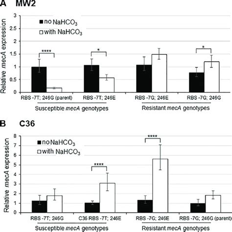 Expression Of MecA In A NaHCO 3 Responsive Strain MW2 Background And